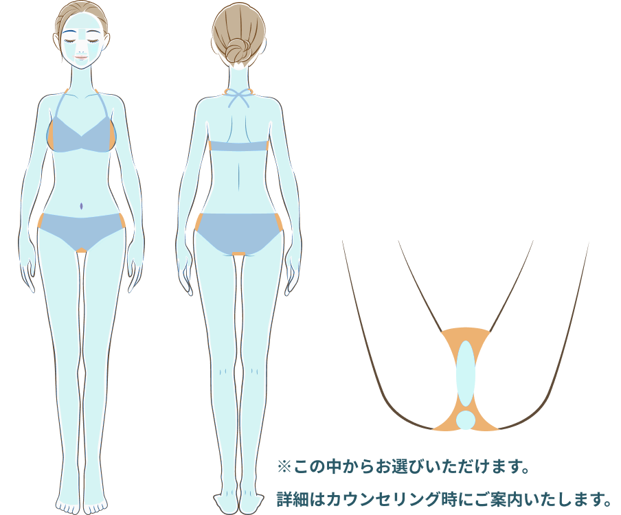 全身 + 顔 + VIO 照射範囲