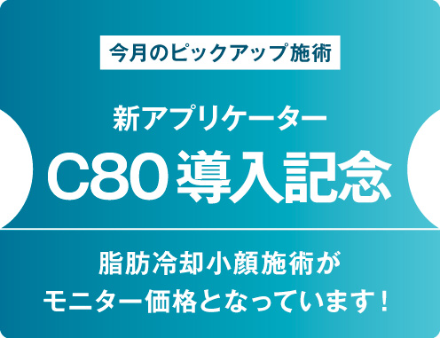 脂肪冷却 小顔施術 モニター価格（C80導入記念）